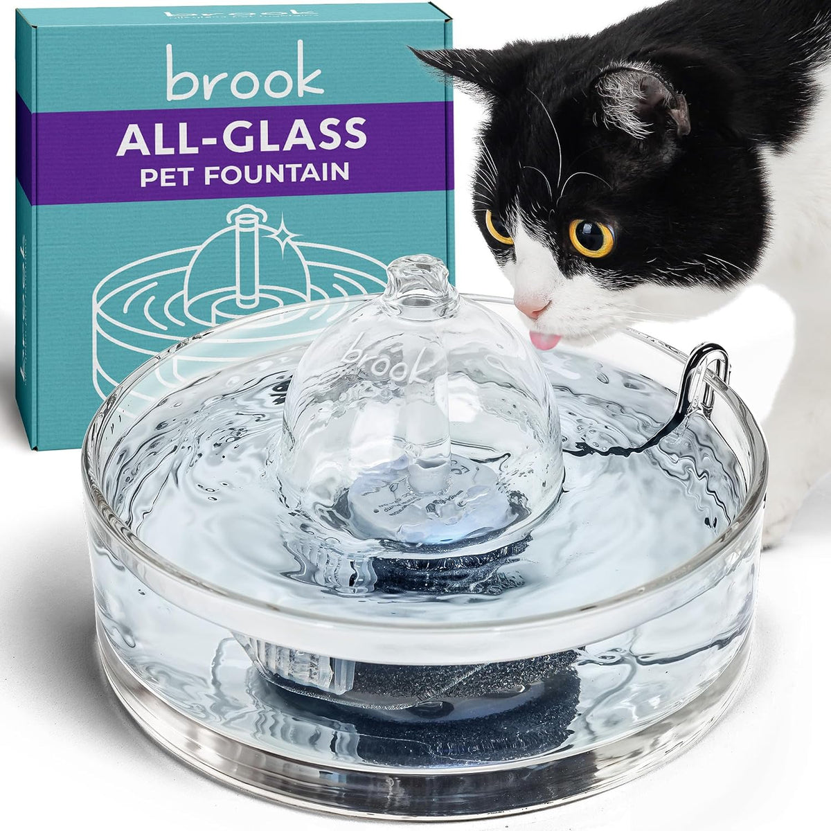 Clear round glass pet water fountain with black-and-white cat drinking and teal product box in the background