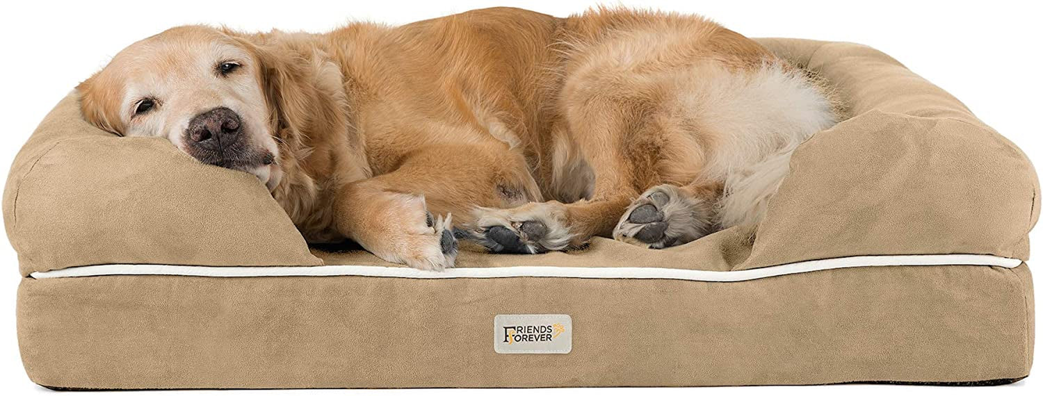 Low front perspective of a tan bolster bed with a large golden retriever curled up inside the raised sides