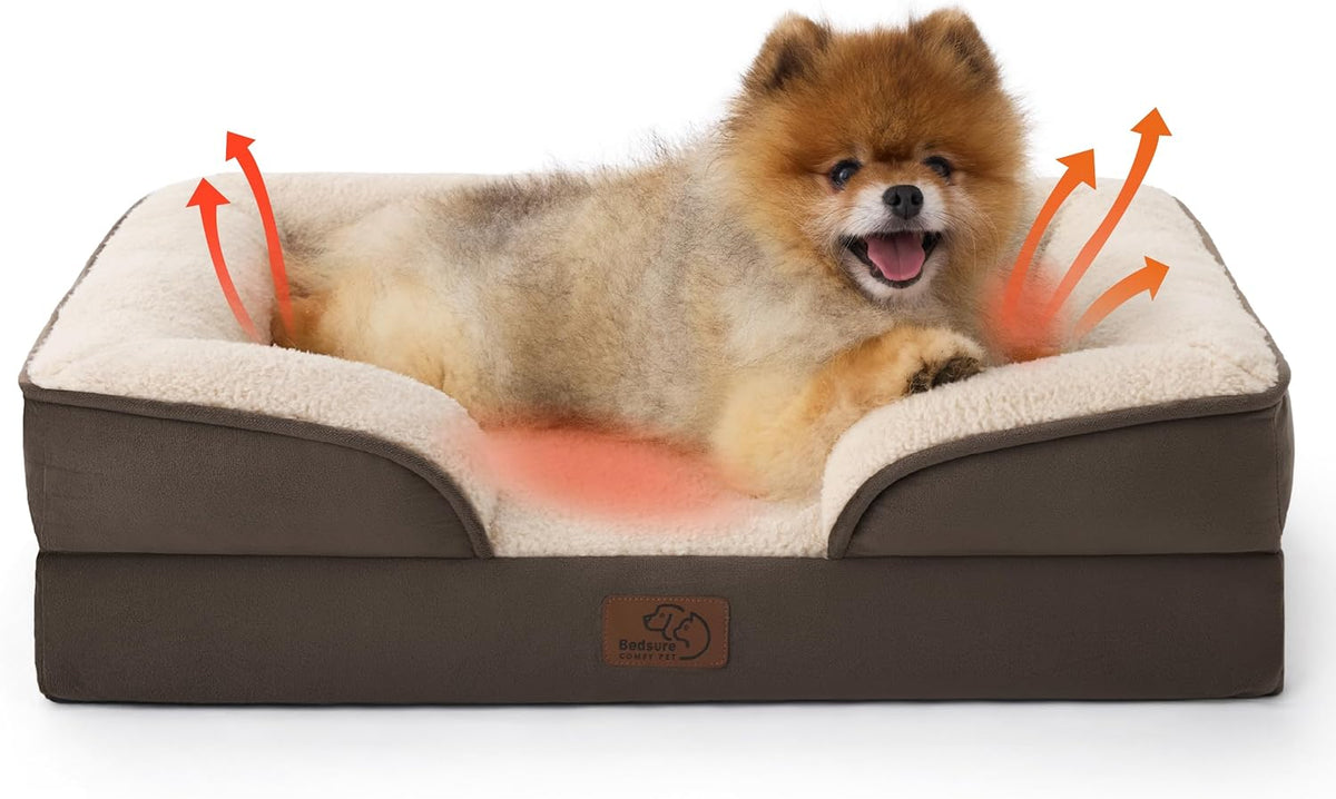 Pomeranian resting in a dark brown bed with cream lining; red arrows highlight warmth and airflow.