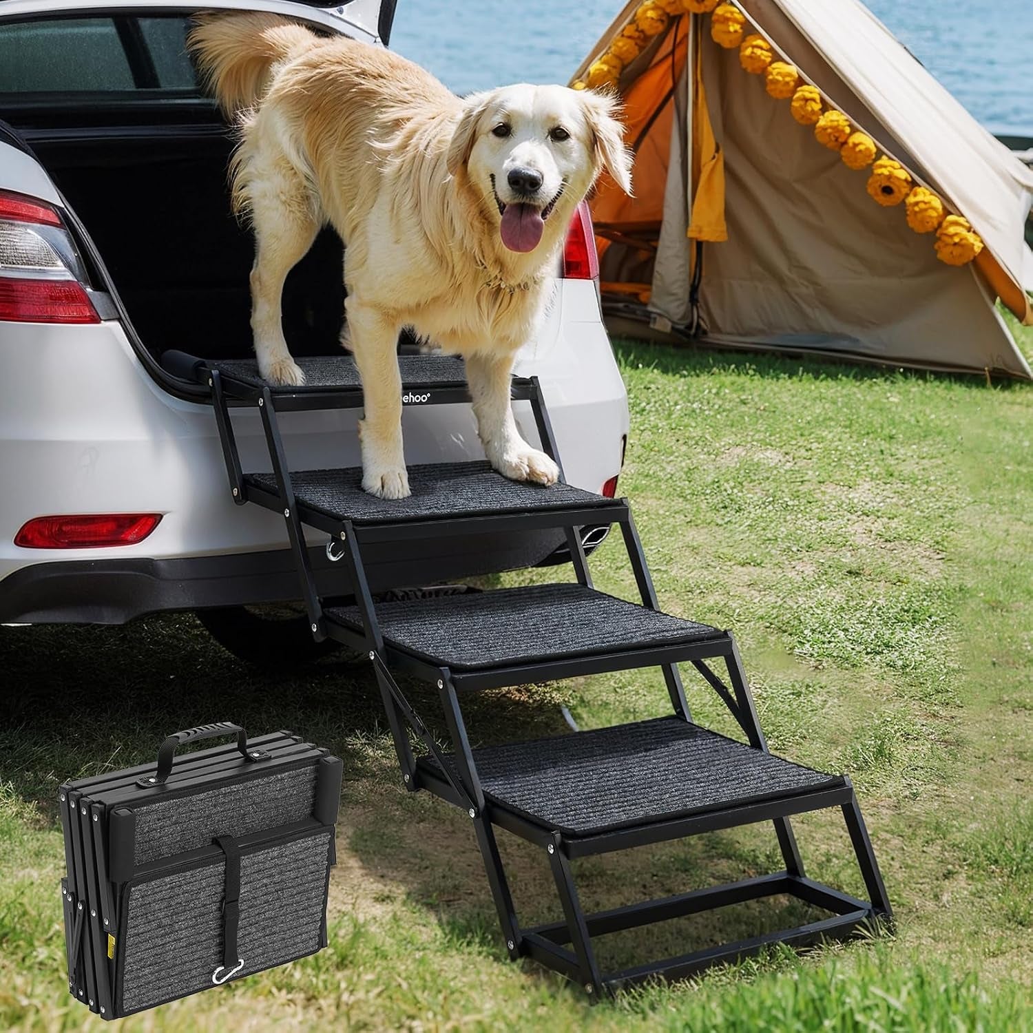 Golden retriever standing on black foldable dog steps attached to a car trunk with folded steps beside on grass