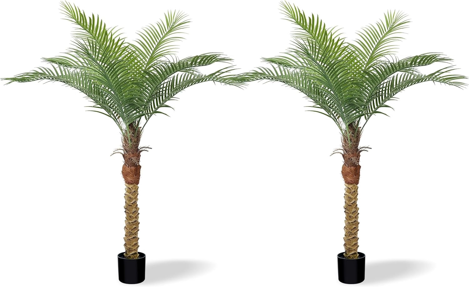 Two identical artificial golden cane palms side-by-side on a white background, each in a small black pot.