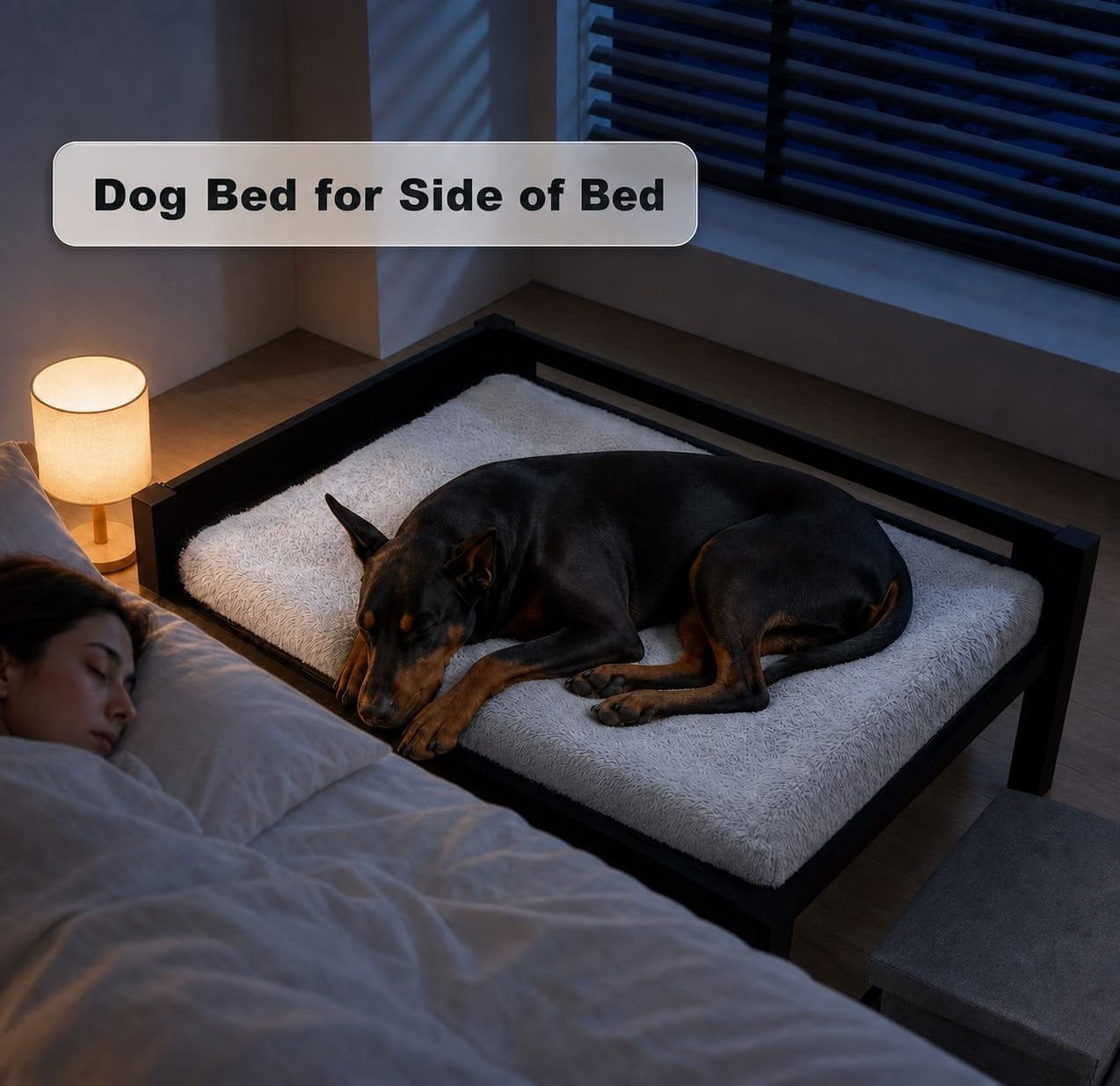 Night scene showing a large dog sleeping on the gray padded mattress of a black bedside co-sleeper next to a human bed