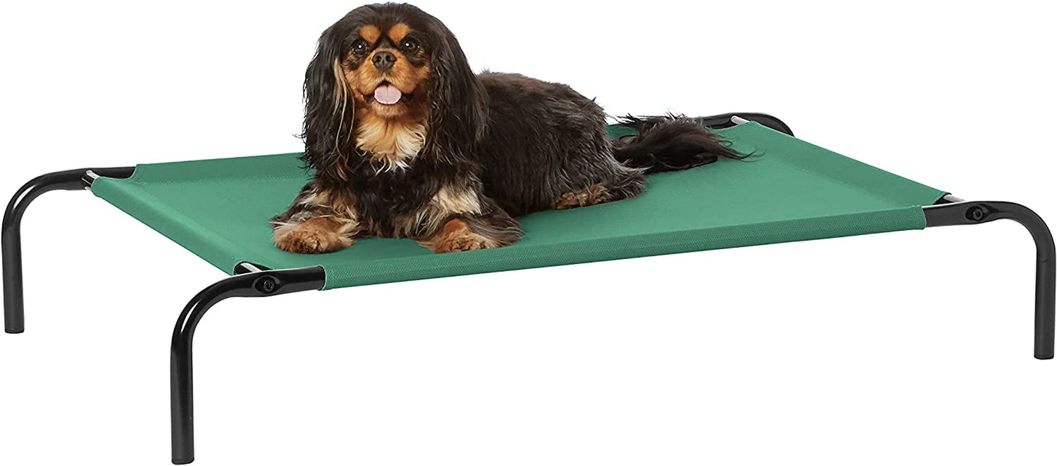 Small long-haired dog lying on a low elevated green fabric pet bed with black metal tubular frame.