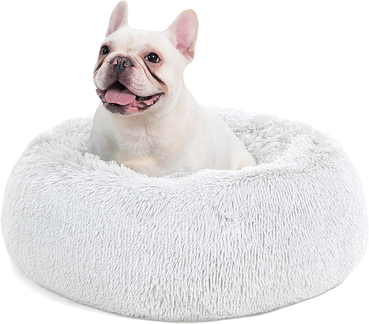 Front close-up of a white faux fur donut bed with a small white dog sitting inside