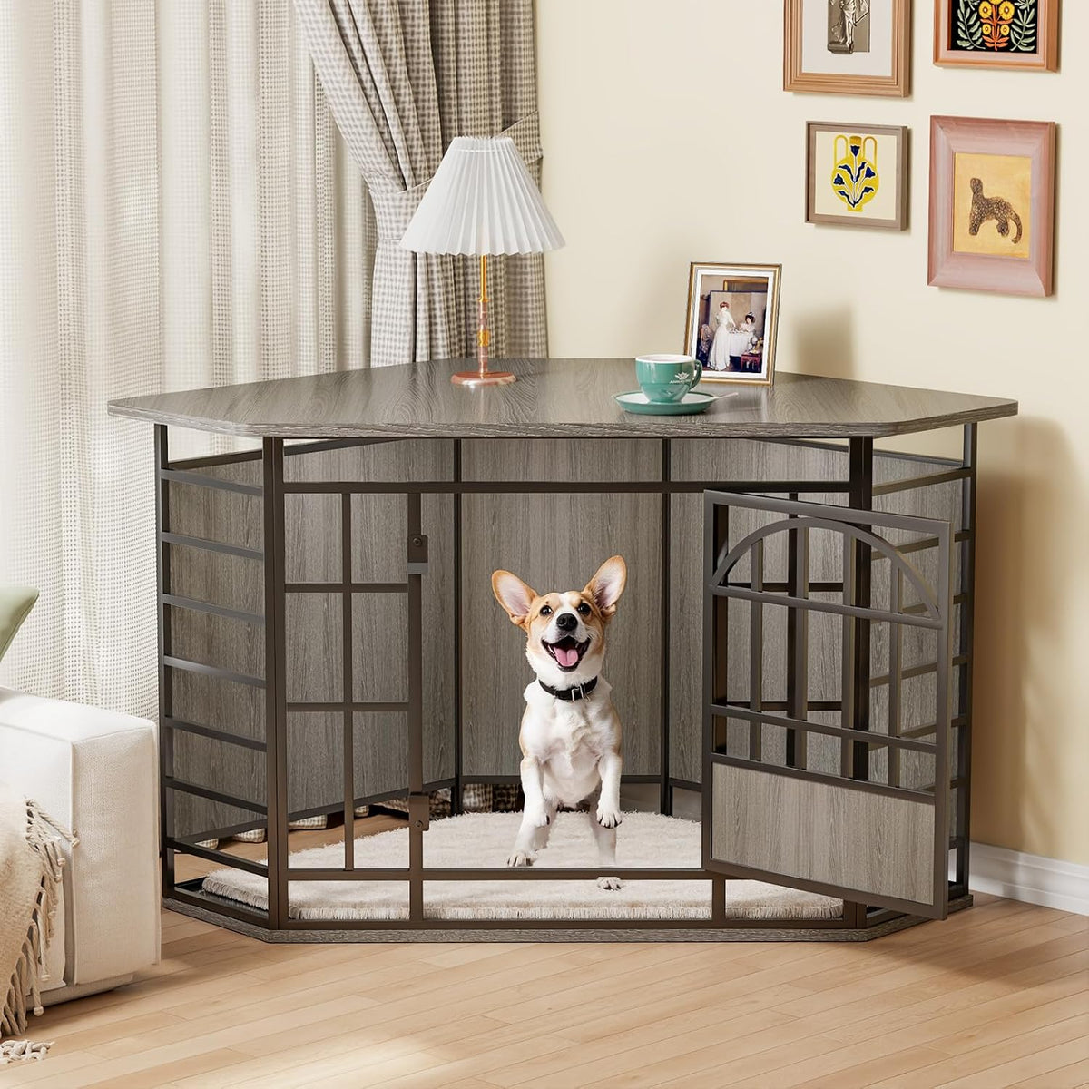 Front view of a grey wood-top corner dog crate with the door open and a small corgi sitting inside on a light rug