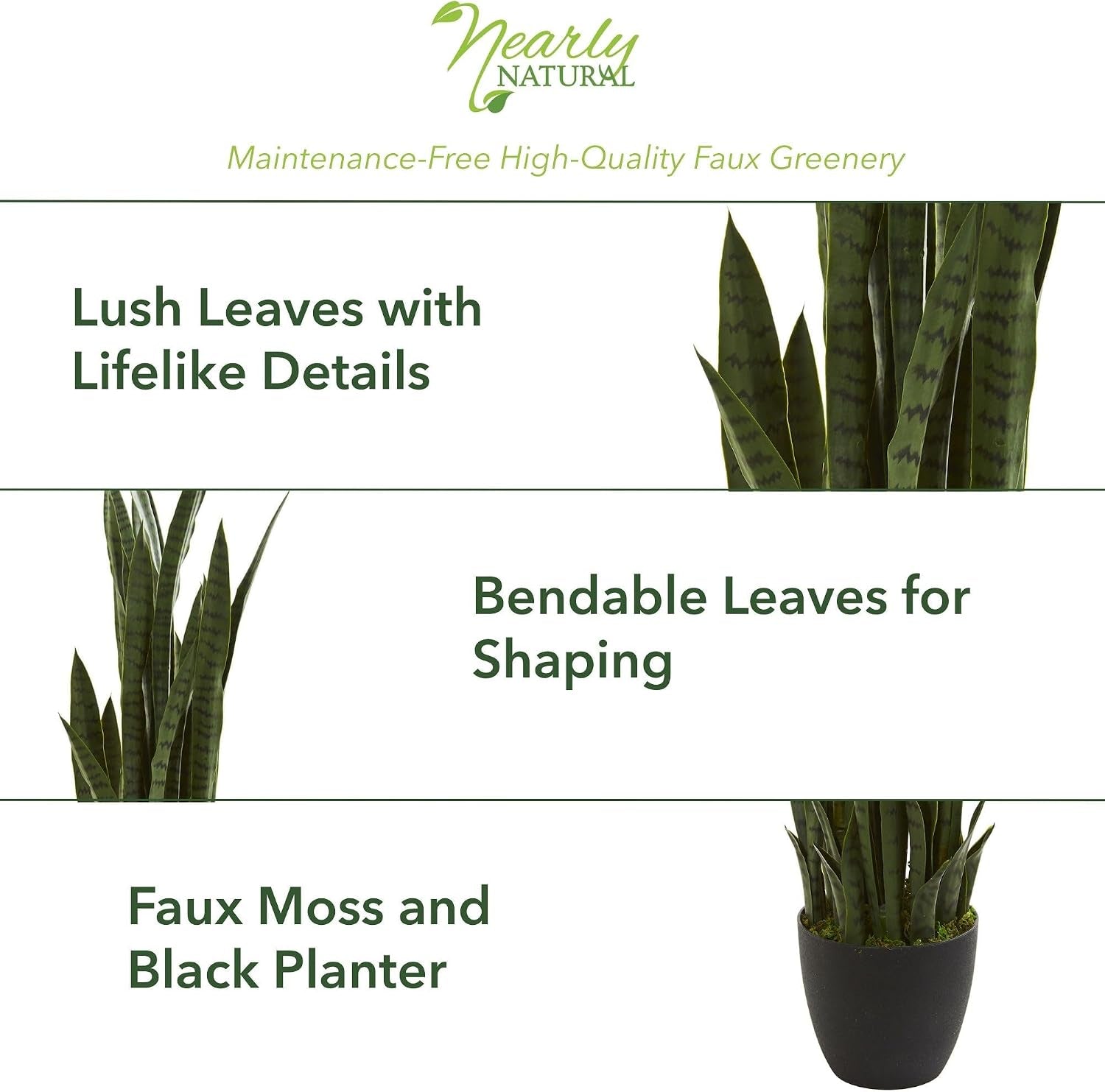 Graphic banner showing clustered Sansevieria leaves with text callouts about lifelike details and bendable leaves
