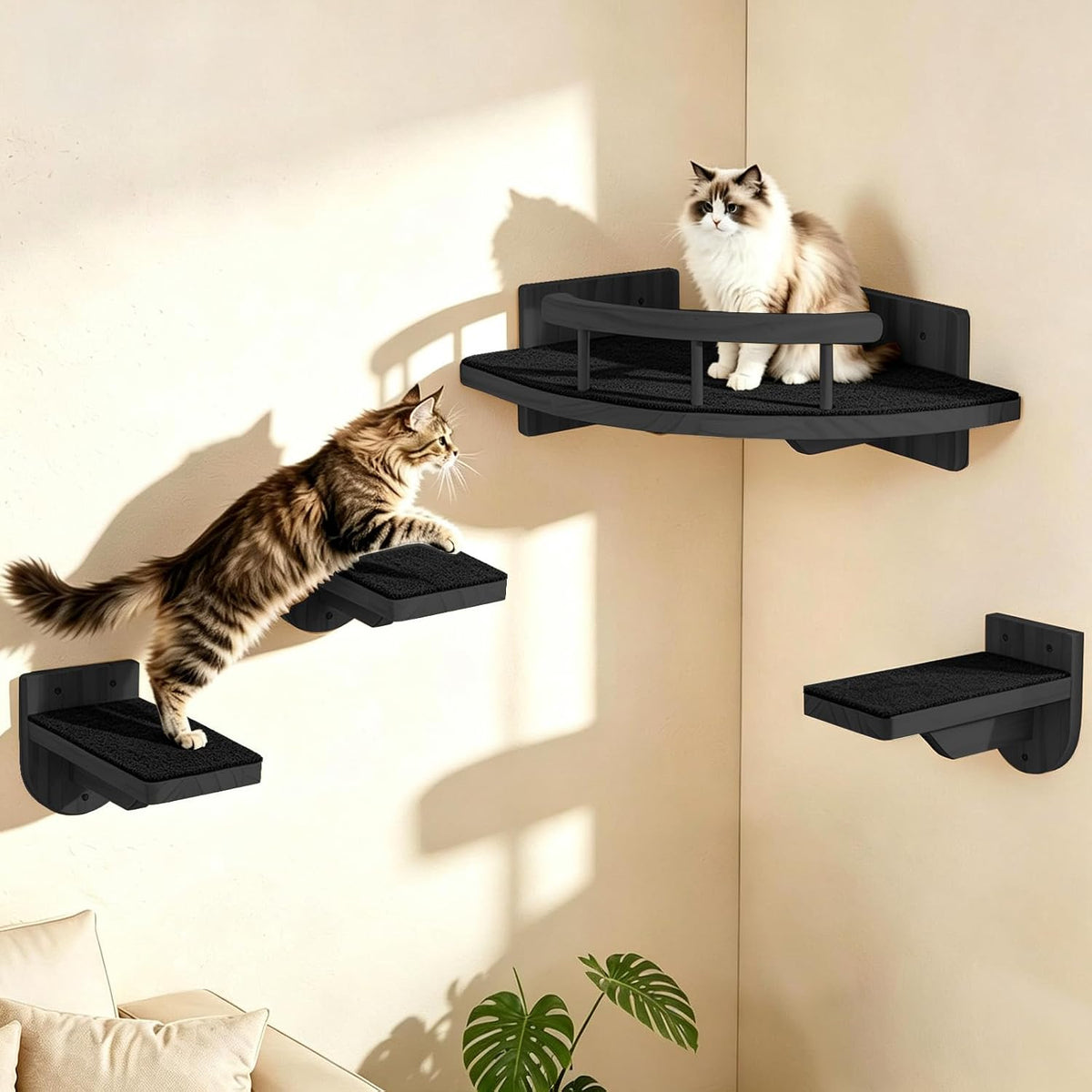 Two cats using a black corner bed and matching black stepping shelves mounted on a wall