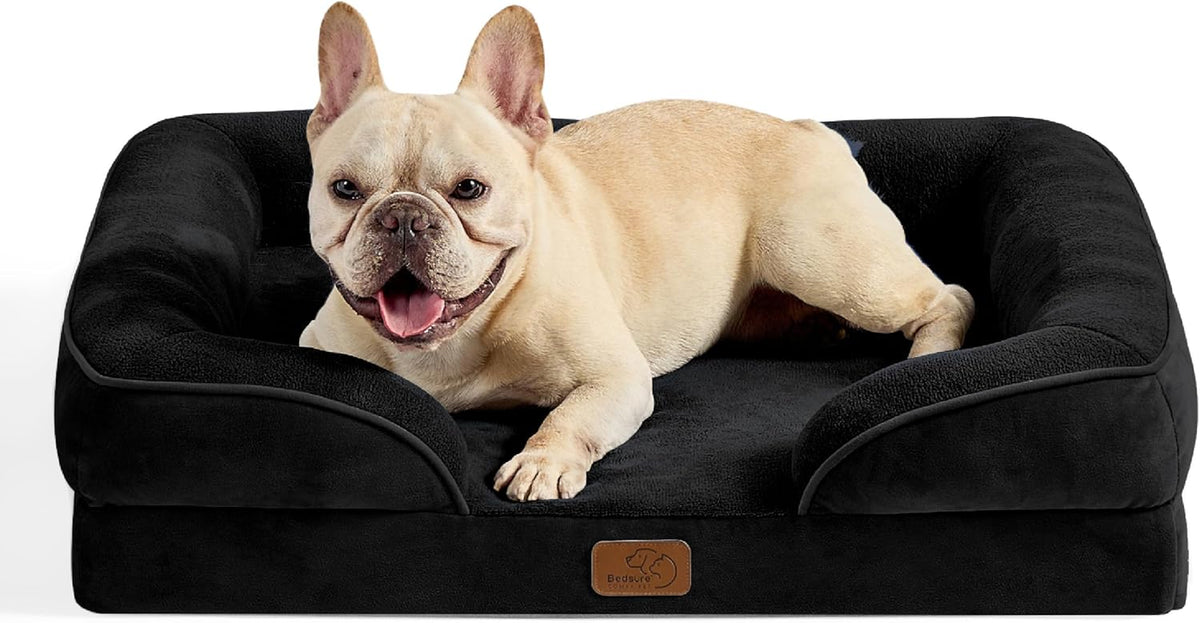 Black rectangular bolster bed shown front-on with a tan French bulldog lounging inside