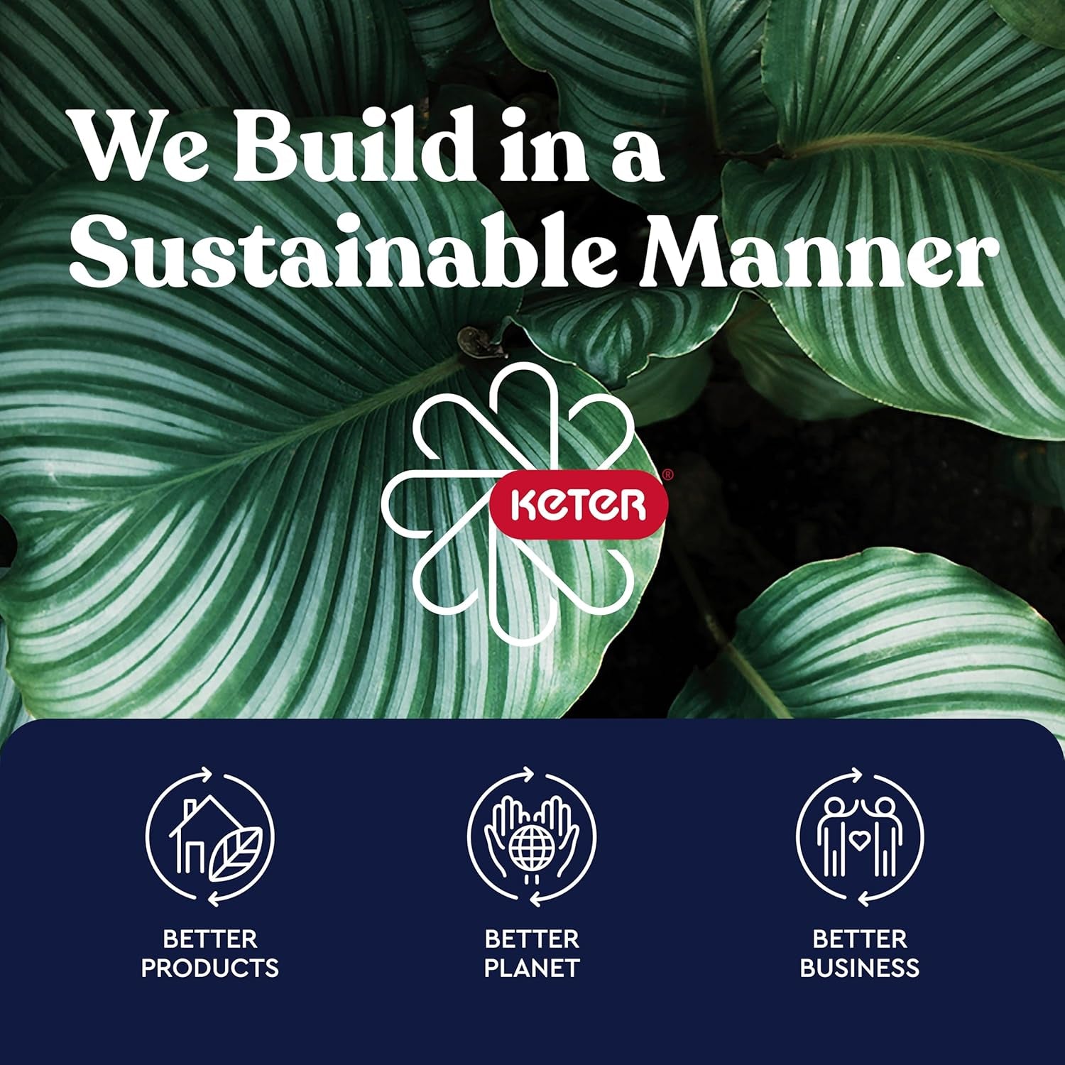 Close-up of large green variegated leaves with a logo and sustainability icons over a dark blue banner.