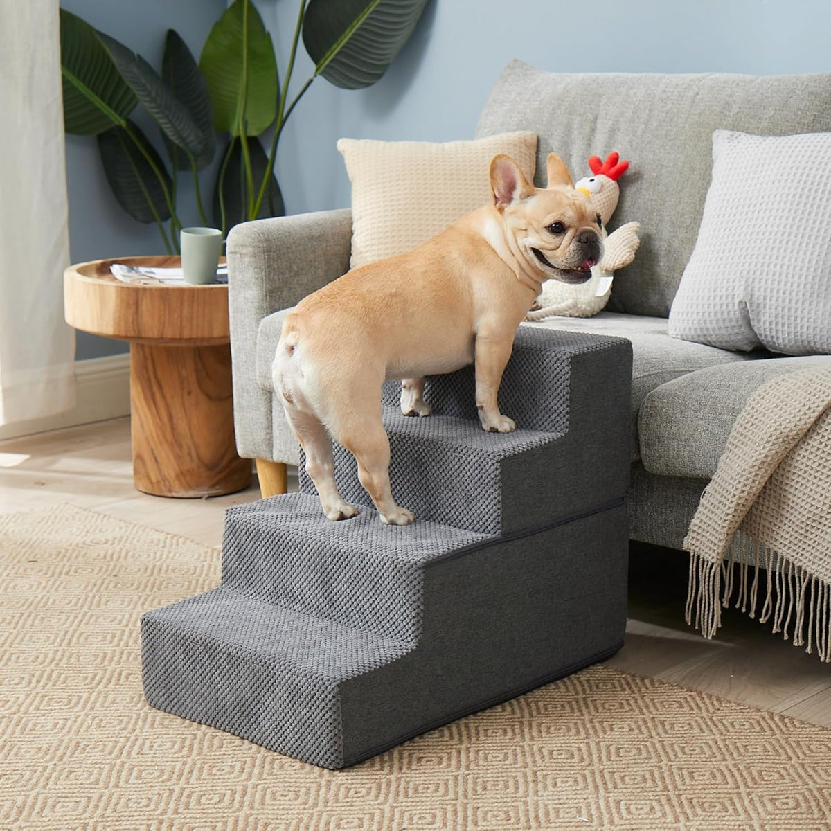 Living room scene with a small fawn French bulldog climbing grey foam pet stairs next to a sofa and side table