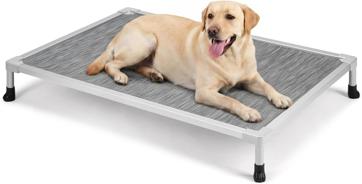Silver elevated dog cot with gray mesh surface and a yellow Labrador lying on it, shown on white background