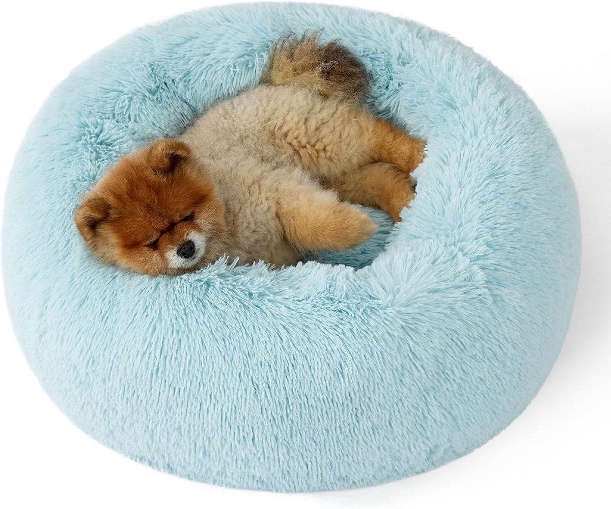 Small fluffy dog curled inside a light blue round faux-fur donut bed, close crop from above.