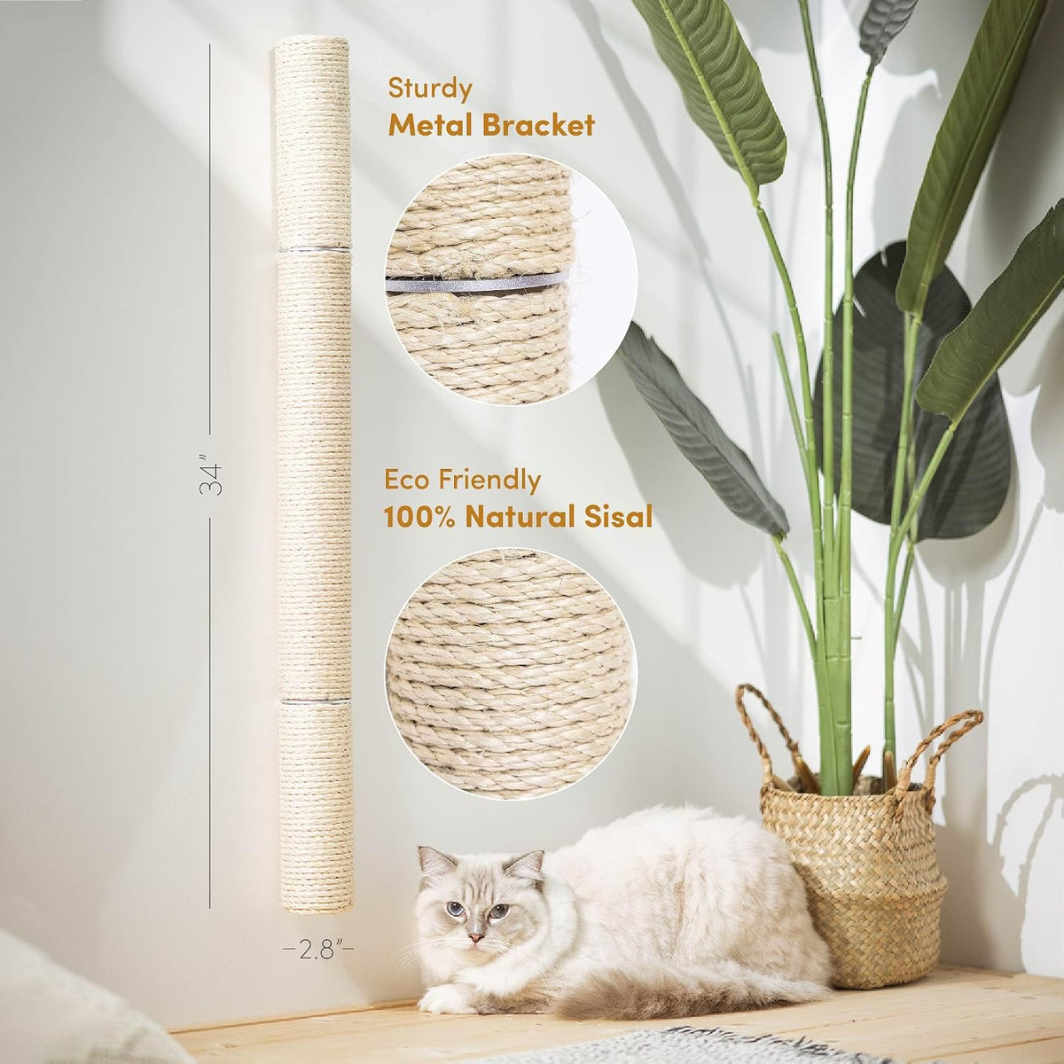 Vertical view of the mounted sisal post with circular close-ups of rope texture and a lounging light-colored cat nearby.