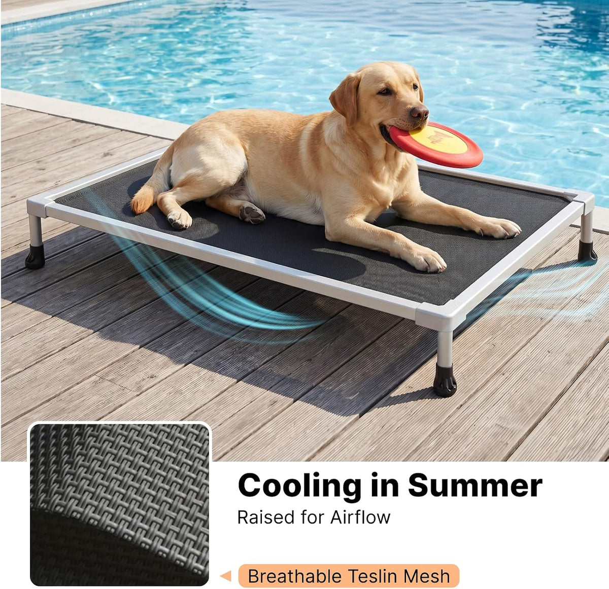 Labrador resting on a black elevated bed beside a pool, top-angle view showing breathable mesh surface and airflow