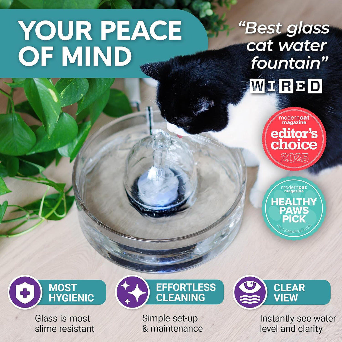 Top-down view of clear glass fountain with black-and-white cat drinking and award badges visible at right
