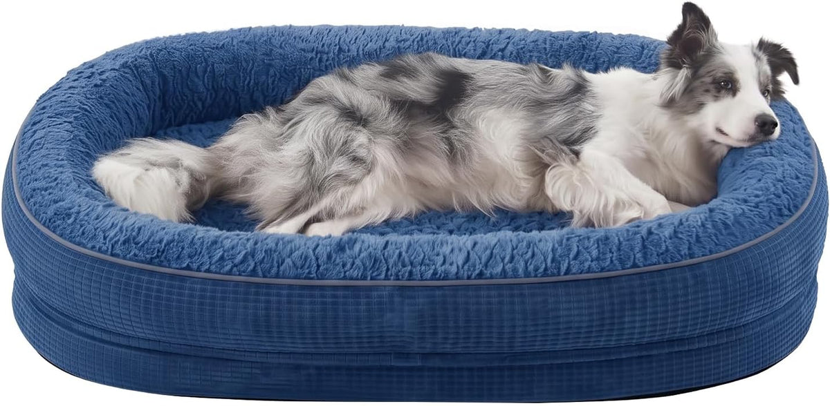 Oval blue plush dog bed with raised bolster, large dog lying inside resting its head on the rim