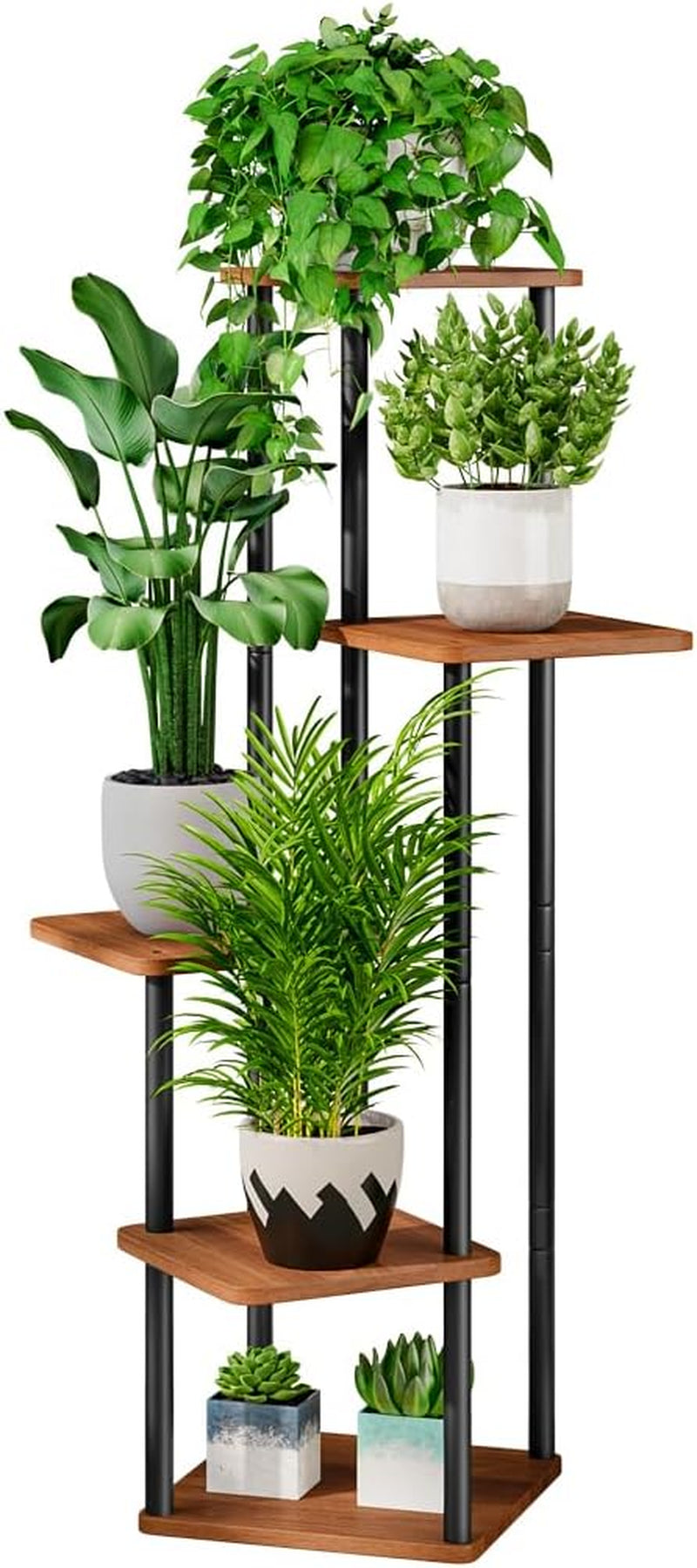 Angled view of black metal frame and warm wood-look shelves staged with tall leafy plants