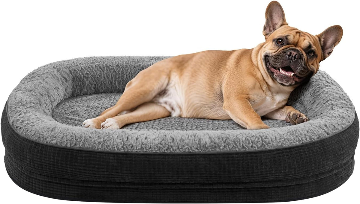 Black exterior, gray interior oval bed with a small tan French bulldog resting against the bolster.