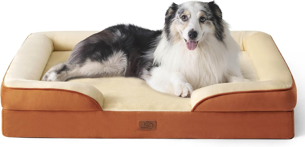 Front-facing two-tone cream and rust-orange bolster bed with a happy merle collie lying inside.