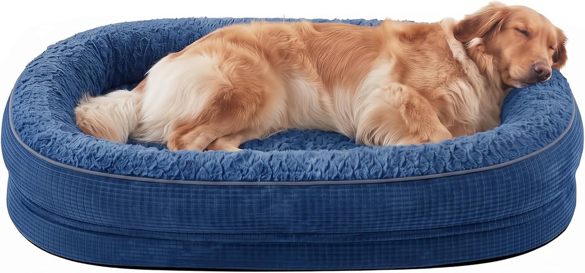 Golden retriever sleeping curled inside a blue oval dog bed with raised bolster