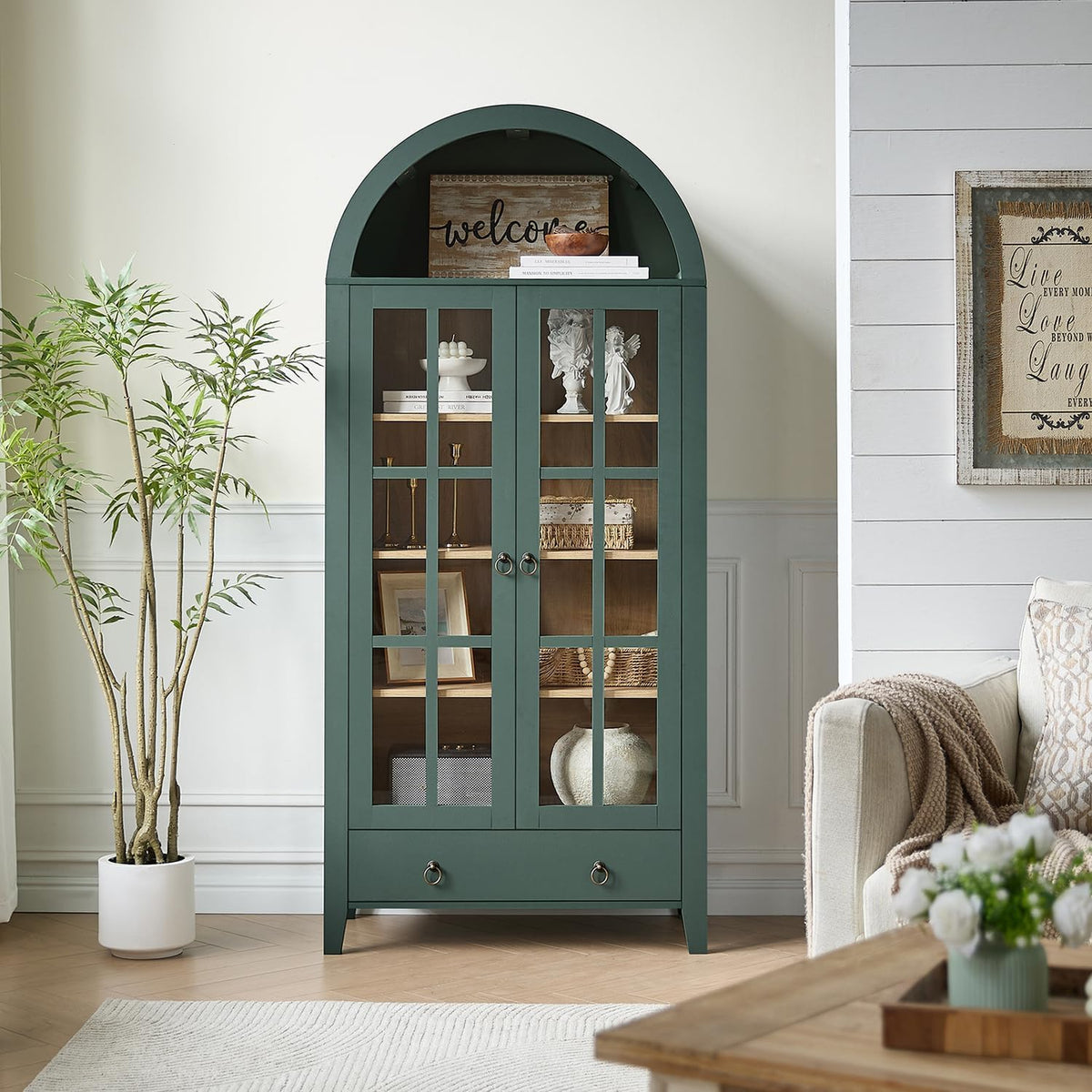 Single green arched cabinet shown near a potted plant and a cozy sofa, angled slightly right