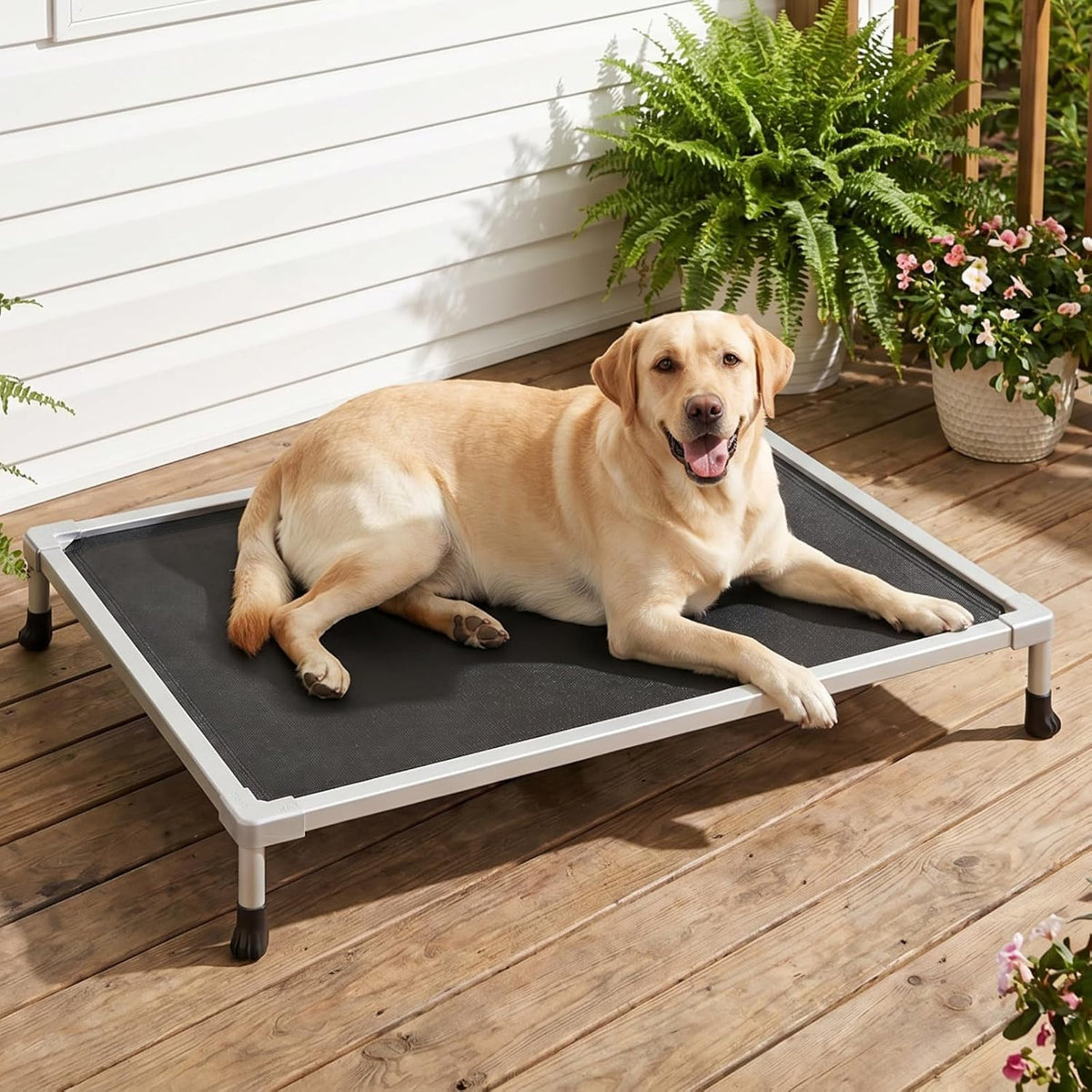 Smiling Labrador lounging on the elevated bed set on a wooden deck beside potted plants.