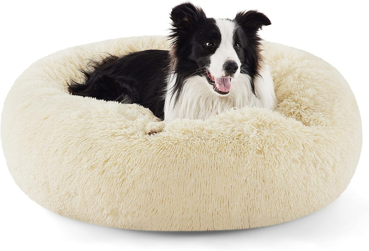 Front three-quarter view of a cream fluffy donut bed with a happy black-and-white border collie lounging inside.