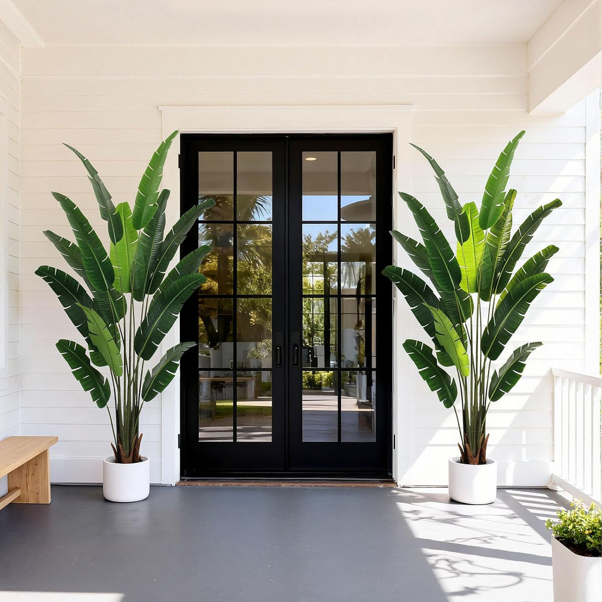 Two bird of paradise trees in white round pots flanking black glass doors on a bright front porch