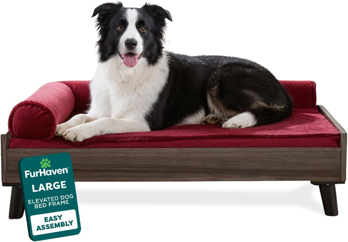 Dark gray wood elevated dog bed with red cushion and bolster, a black-and-white dog lying on it