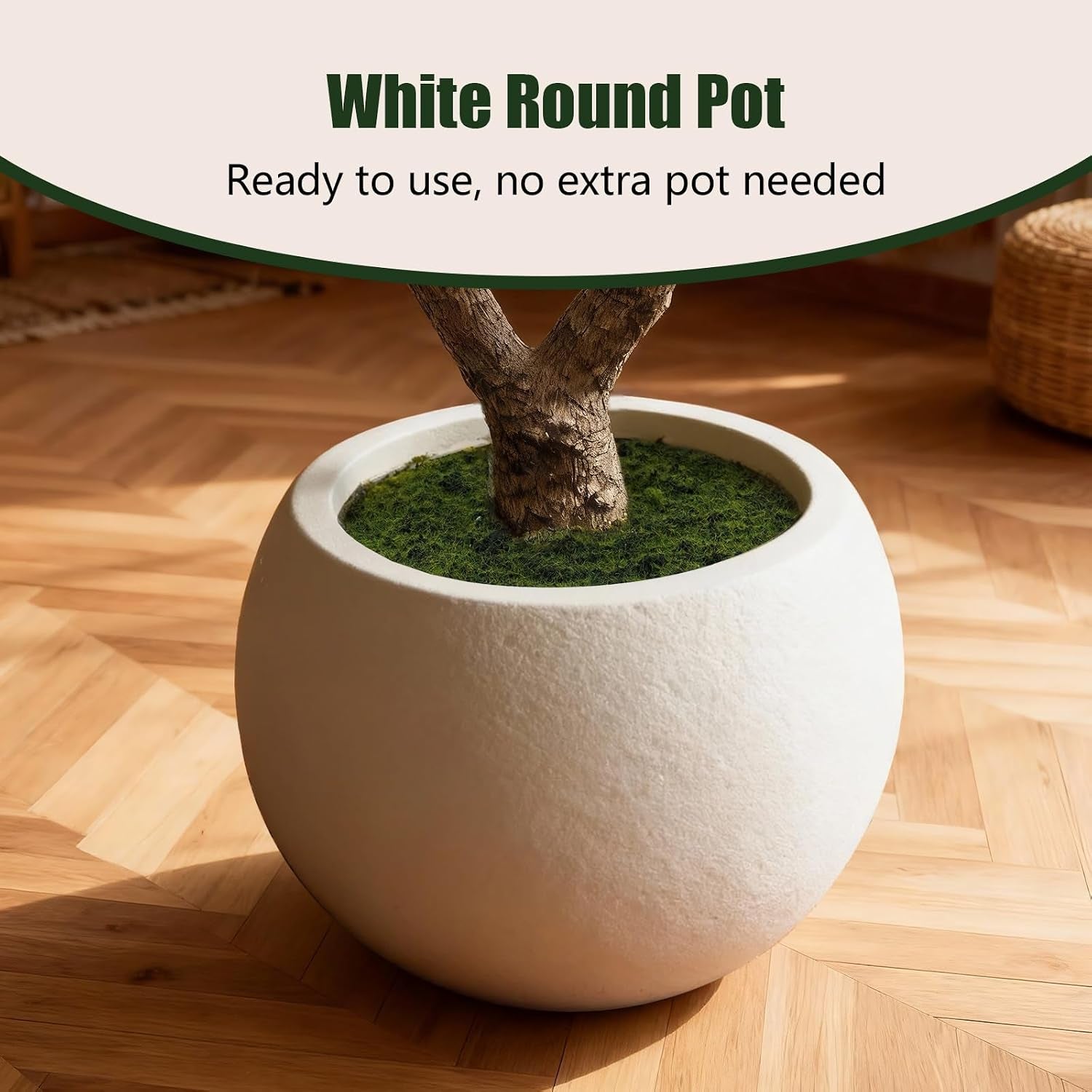 Textured white weighted round planter close-up with tree trunk and green moss filling visible inside