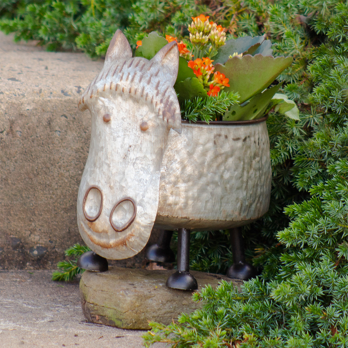 8.5" Galvanized Horse Planter