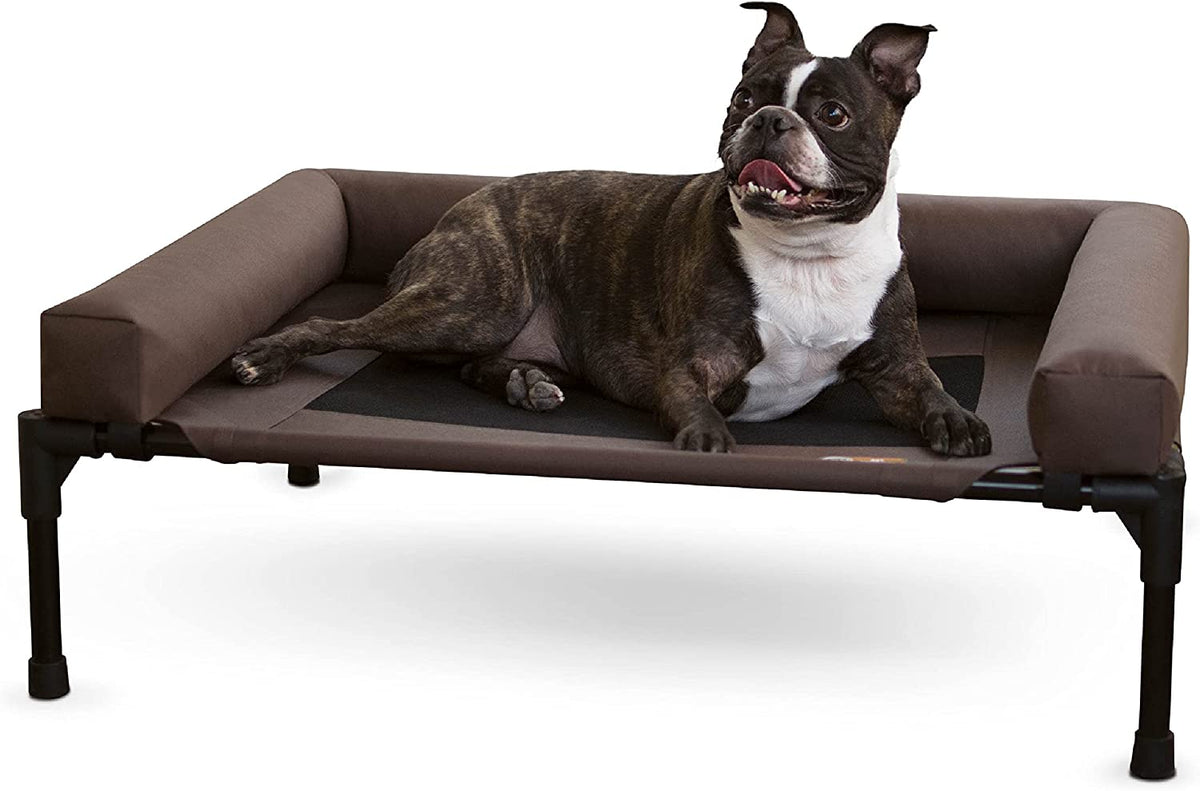 Brown elevated cot with bolsters and a small brindle dog reclining and looking up.