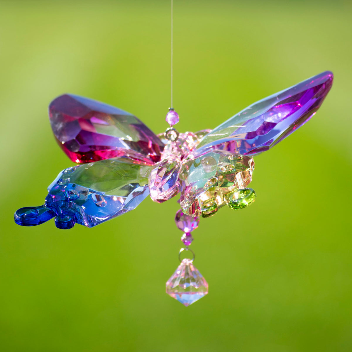 Close-up of a butterfly with purple, blue, and green faceted wings and a clear drop hanging below.