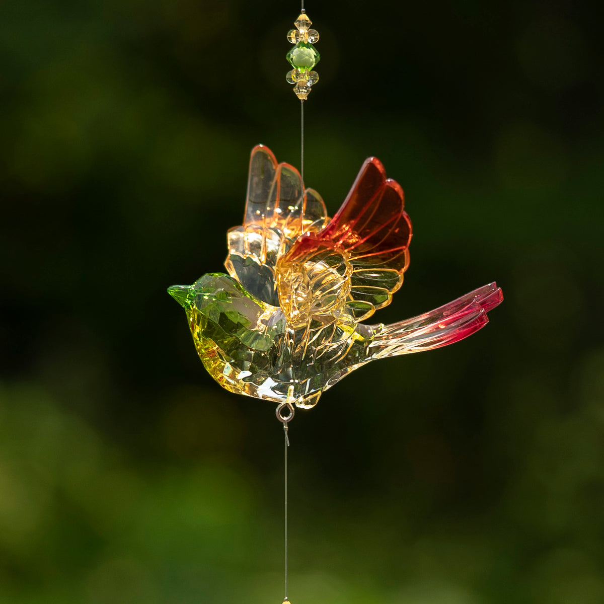 A clear acrylic bird ornament with green, amber, and red wings hangs against a dark green background.