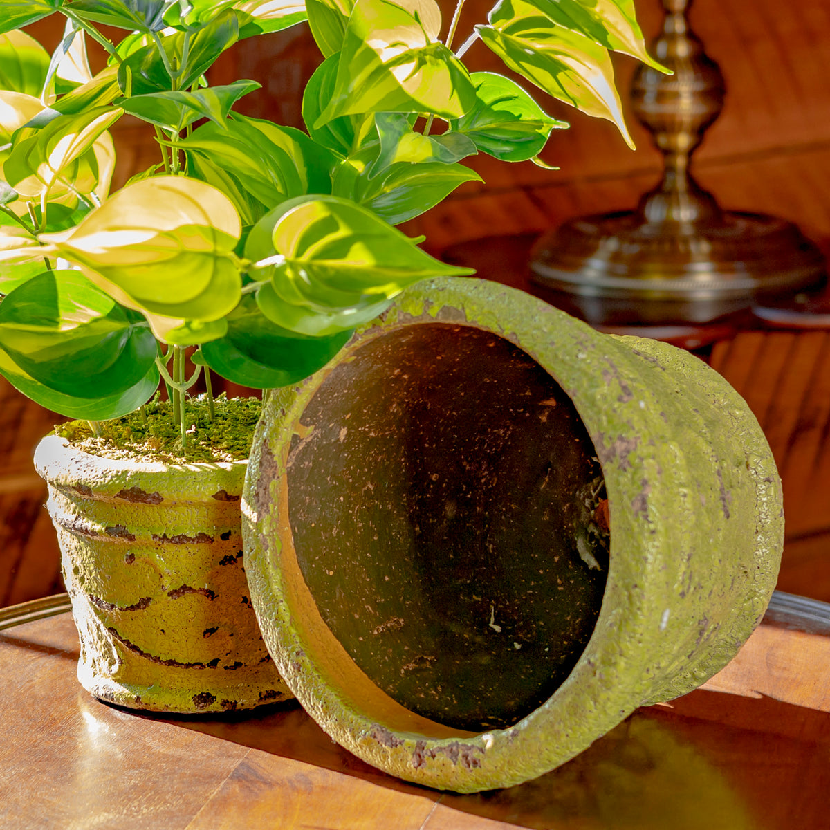 Two weathered green round ceramic pots, one holding a leafy plant and the other tipped on its side.