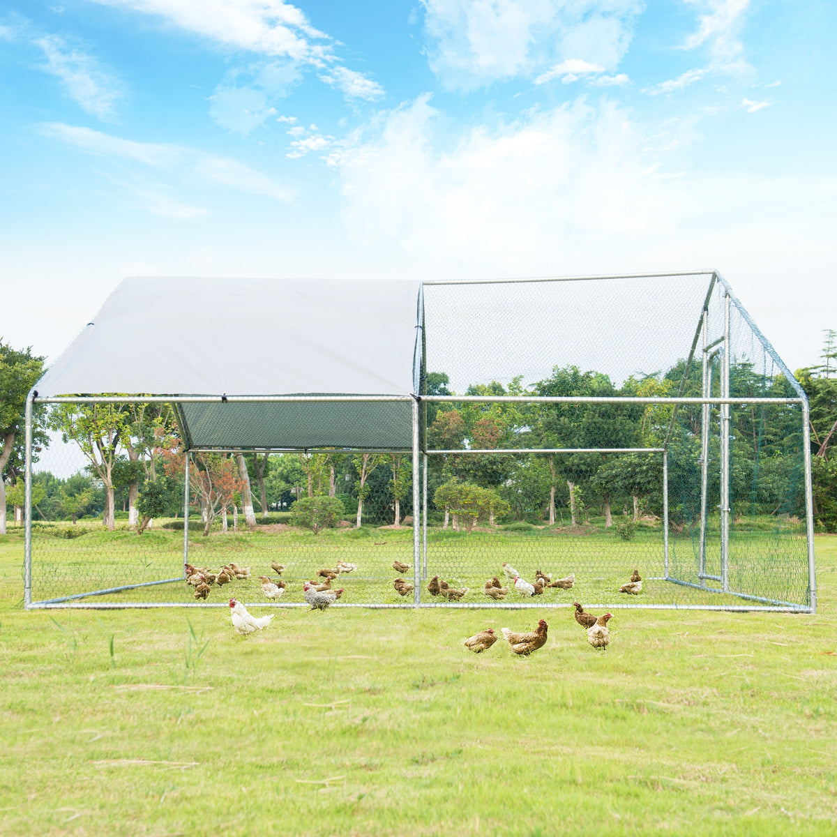 Large wire-mesh chicken run with a pale roof cover standing on grass, with chickens nearby.