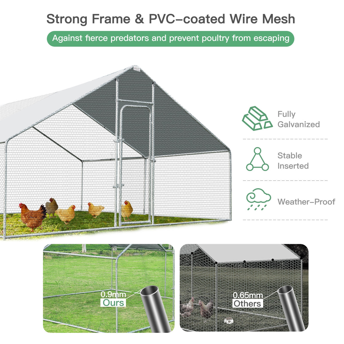 Wire-mesh chicken enclosure with a covered peaked roof, chickens inside, and two mesh comparison insets.
