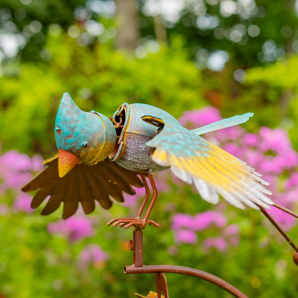 Garden close-up of turquoise bird, orange beak and spread wings on the stake