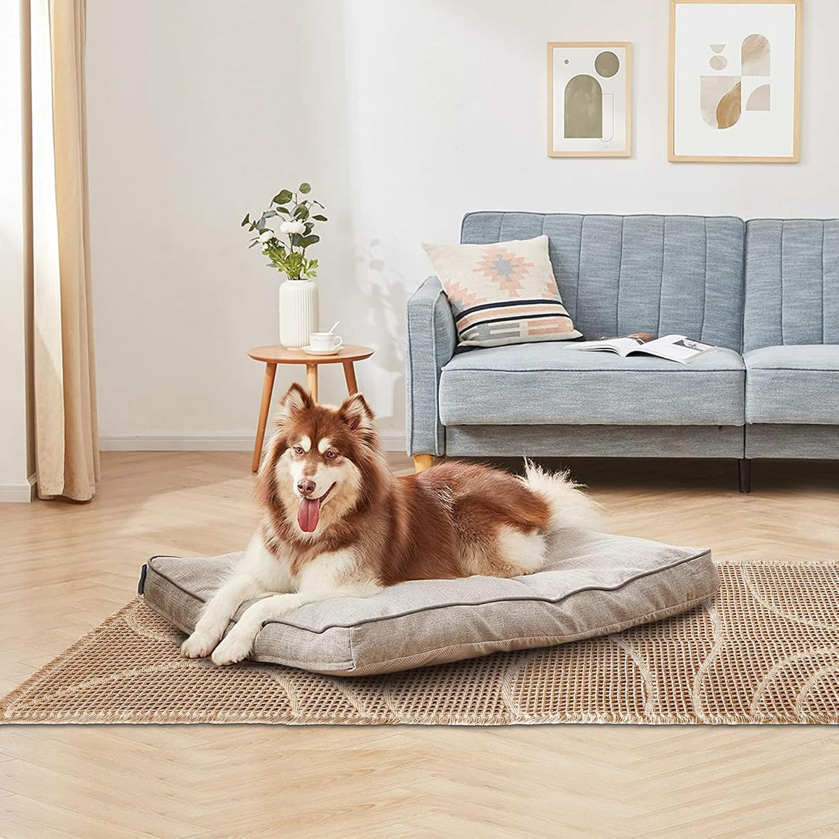 Living room scene showing a large rectangular woven mat under a dog bed with a brown and white dog lying on it