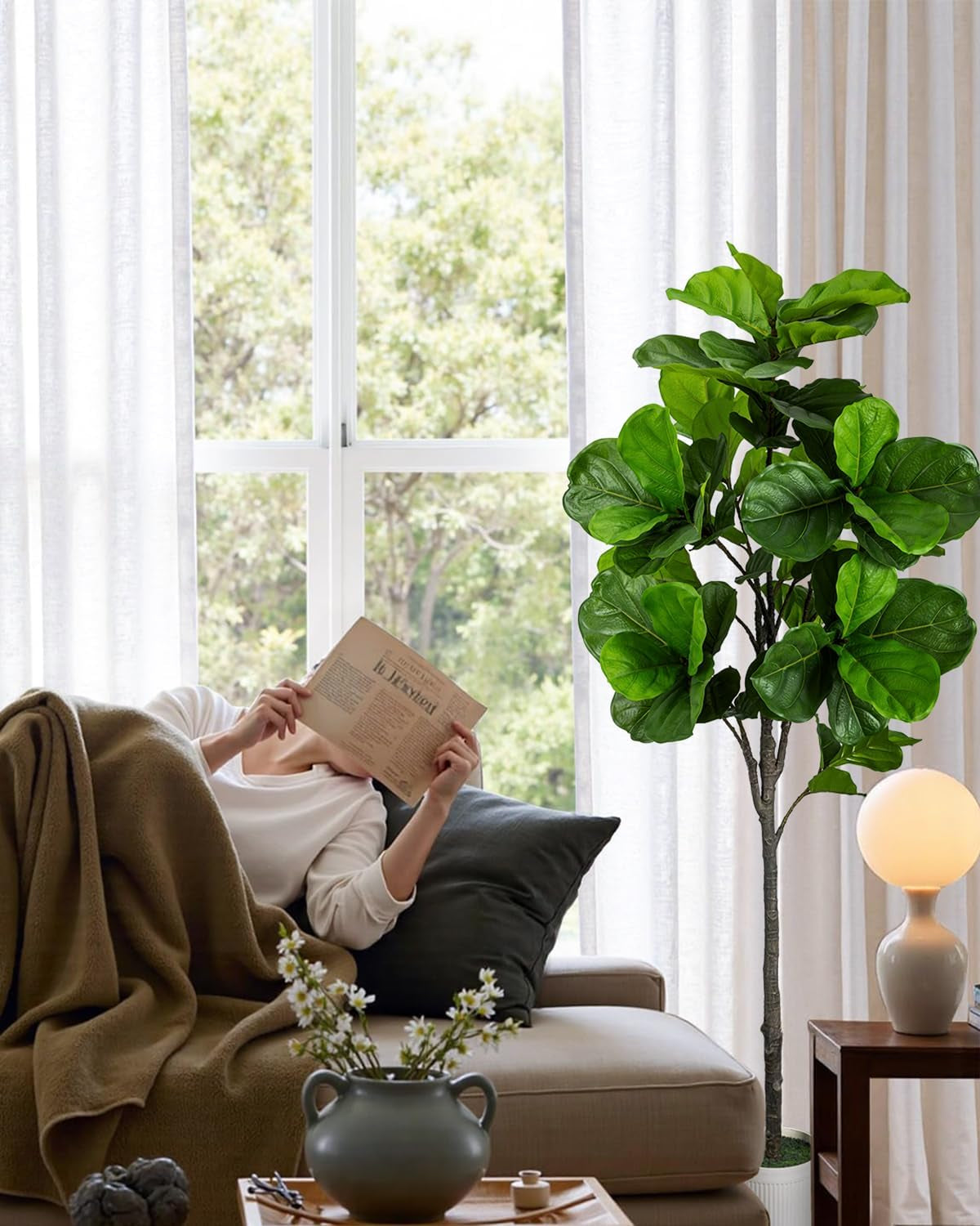Person reclining on a sofa reading a newspaper with the fiddle-leaf fig standing next to a lamp by the window
