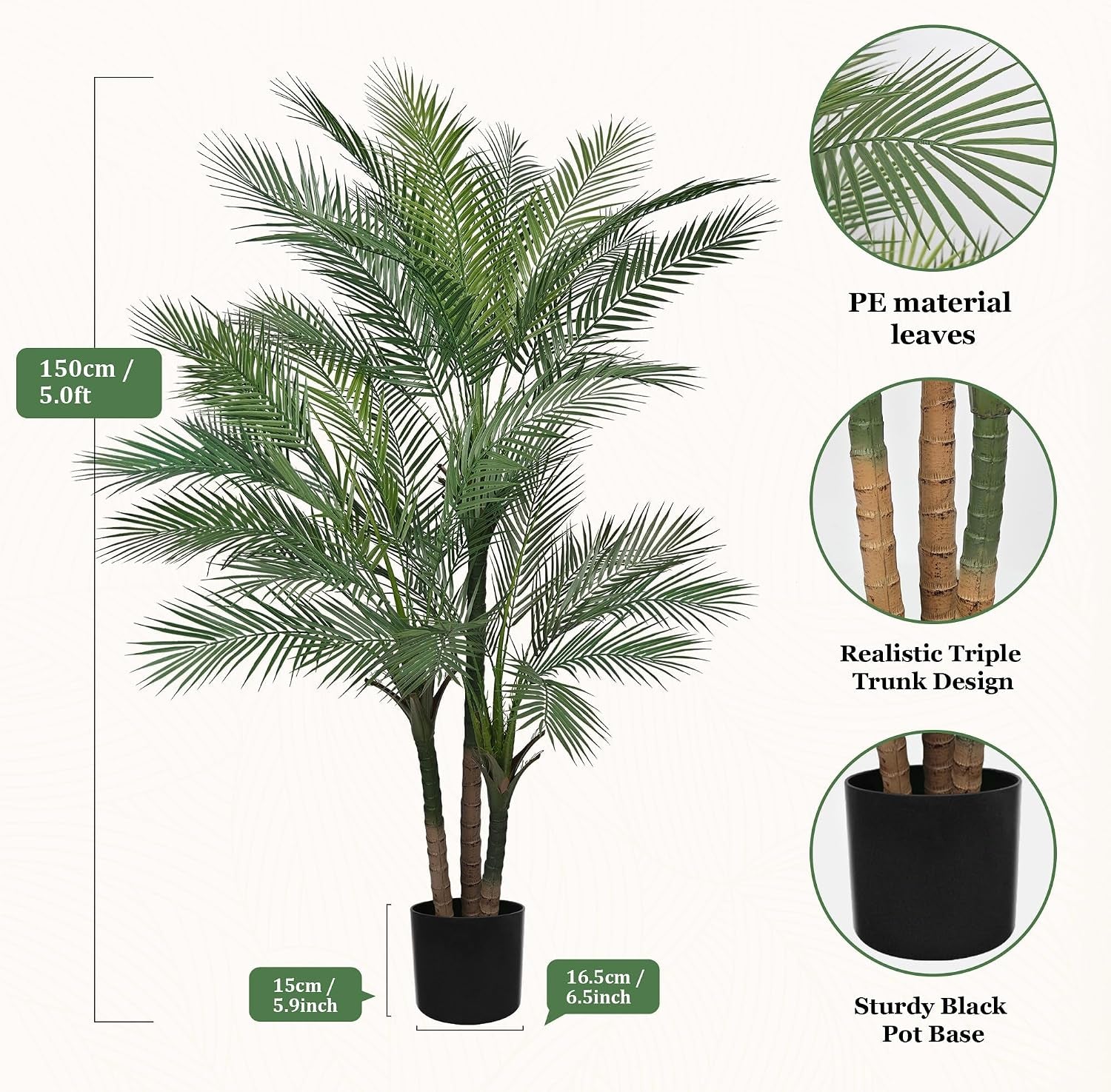 Diagram view showing PE leaves, triple trunk closeups and the sturdy black pot base
