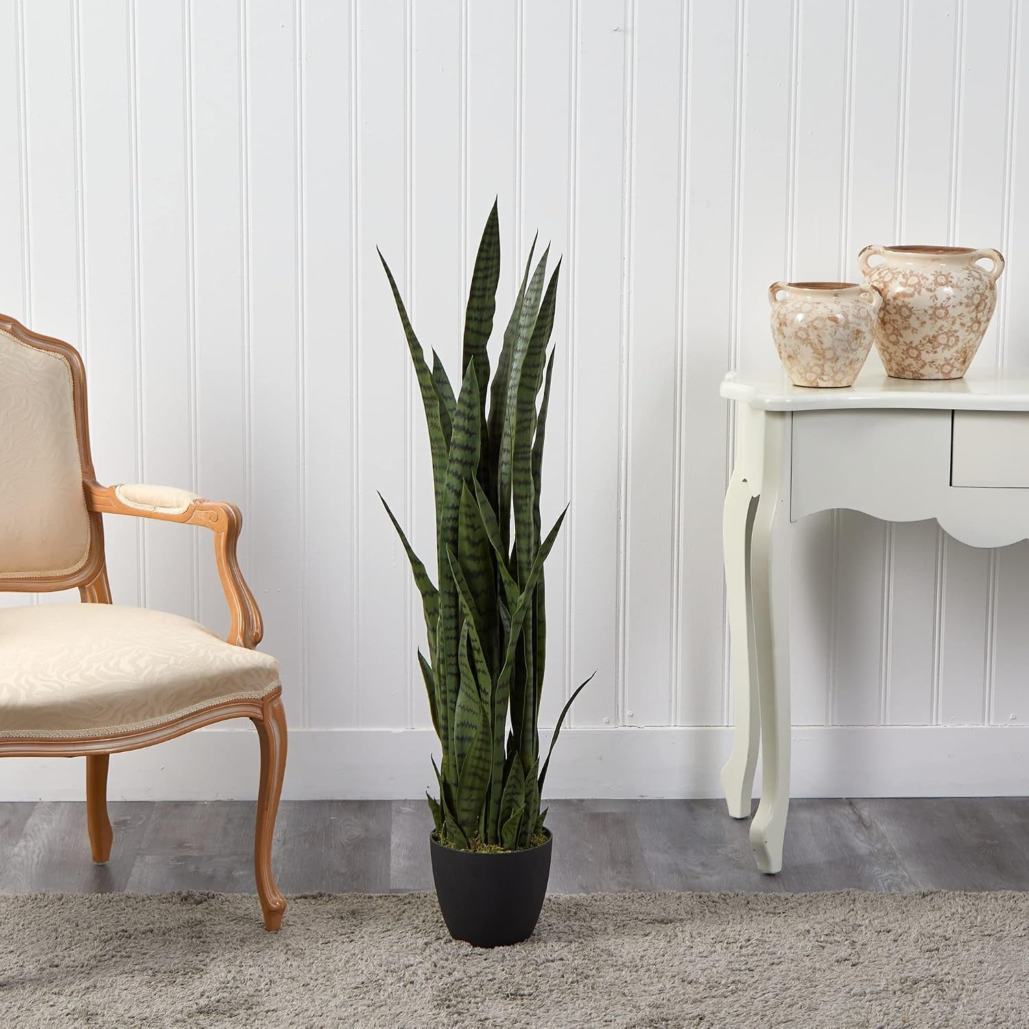 48-inch Sansevieria floor plant in a black planter staged beside an upholstered chair and white console in a room