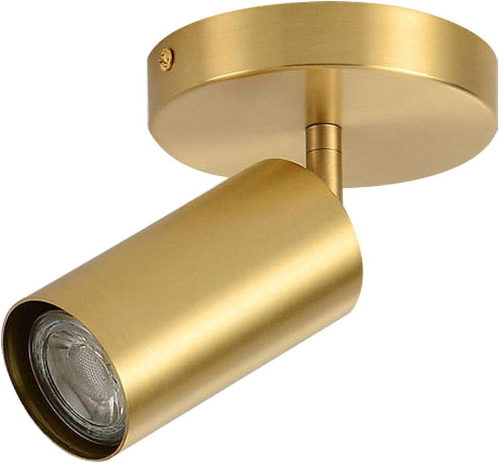 Close-up of one gold cylindrical spotlight and round ceiling canopy showing finish and lamp opening.