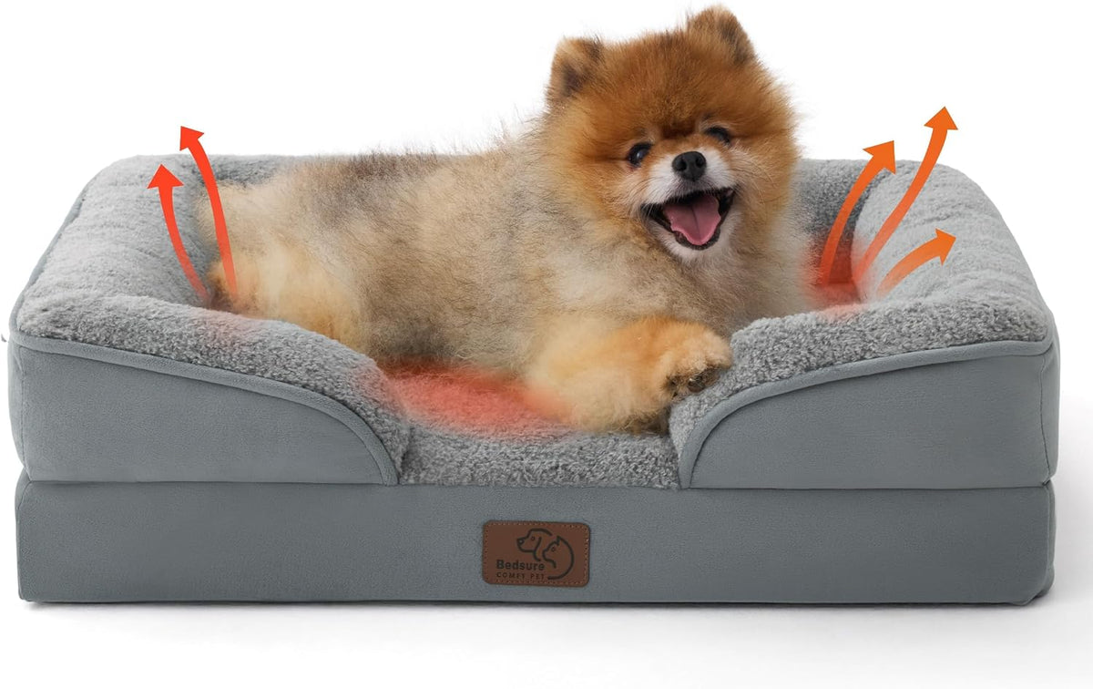 Front-facing view of a small fluffy Pomeranian lounging in a gray bolstered bed with a low front cutout.