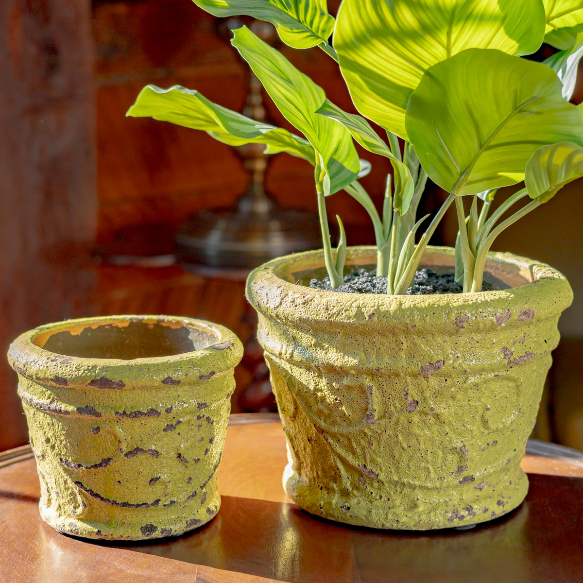 Two weathered green round pots sit together on a wooden table, with leafy plants in the larger pot.