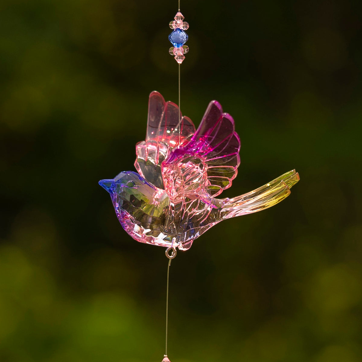 A transparent bird ornament with blue, pink, and yellow accents catches the light against greenery.