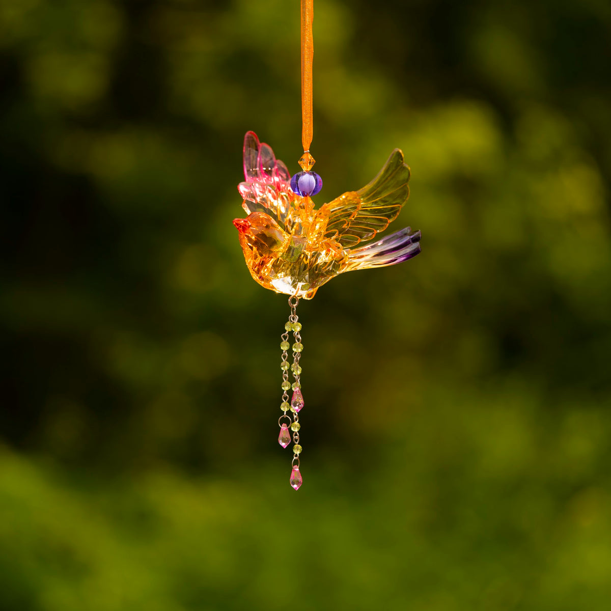 A colorful clear acrylic bird ornament hangs against a green background, showing its opposite side and tail.