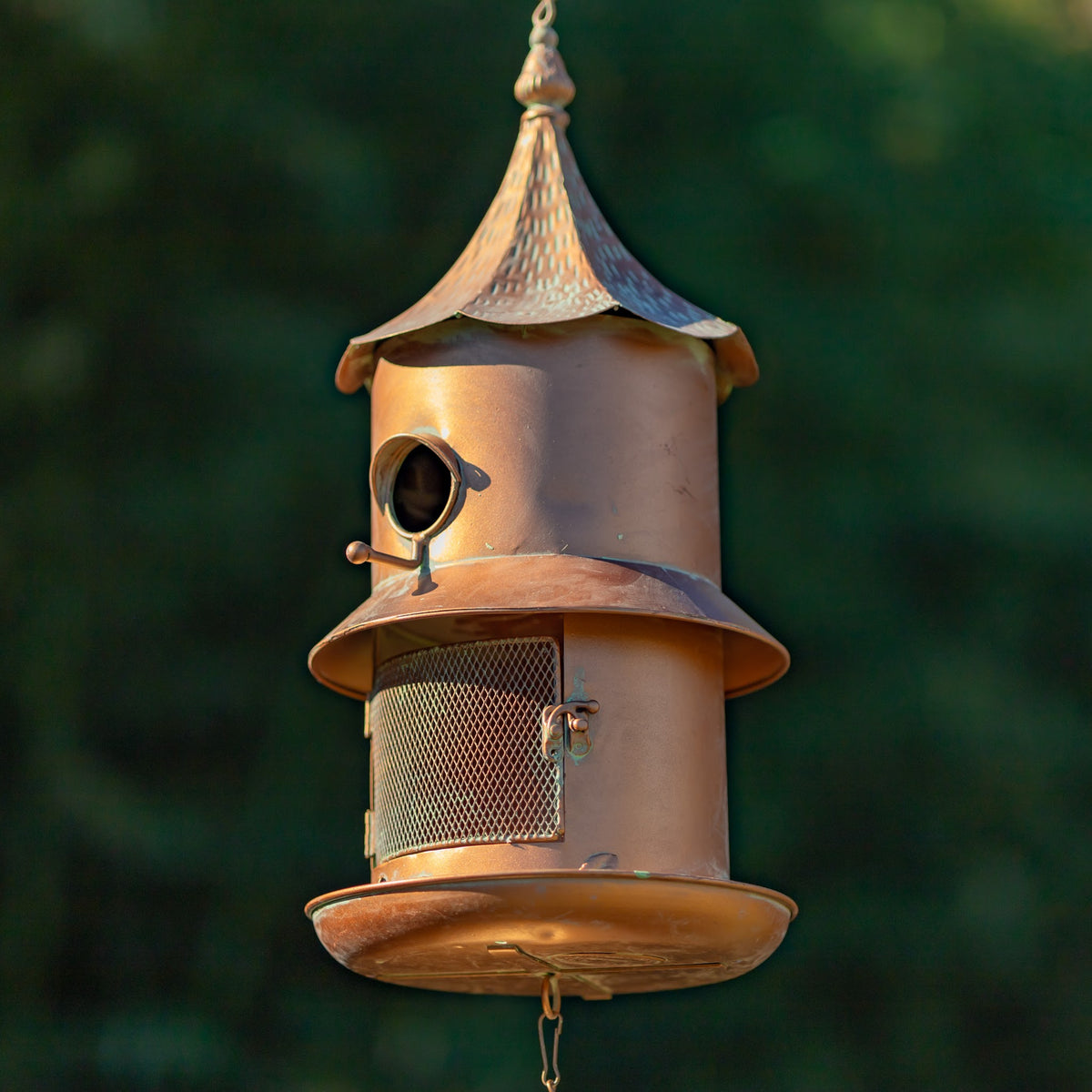 Copper-toned hanging bird feeder with mesh seed compartment against dark greenery