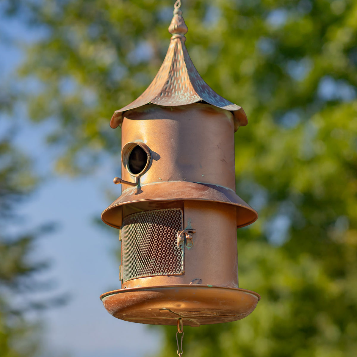 Copper-toned hanging bird feeder with mesh seed compartment against trees and sky