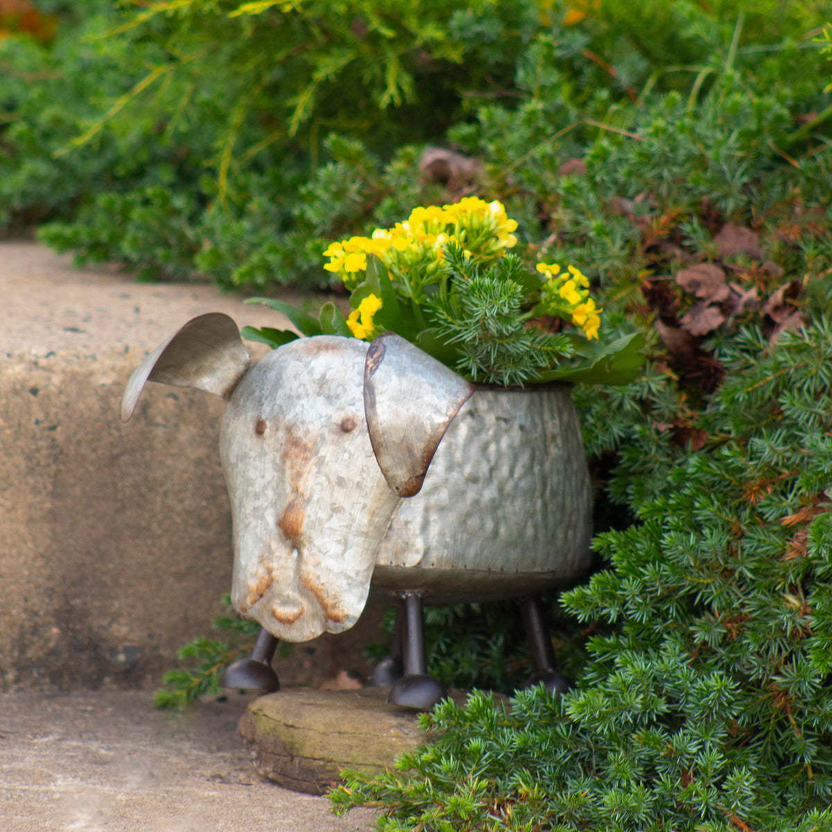 Galvanized Animal Planter - Dog